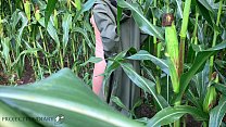 couple having sex in a public cornfield – loving the thrill to get caught
